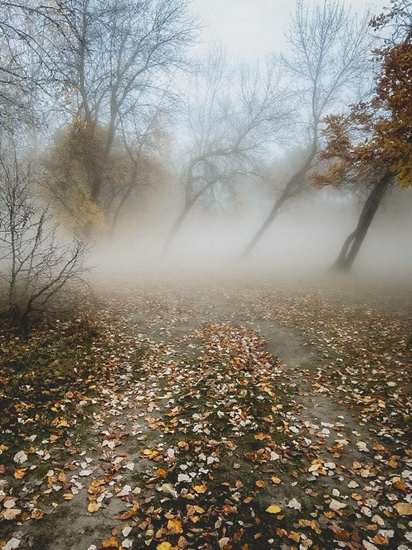 Фотографія Пейзаж / Viktoriya Bilan / photographers.ua