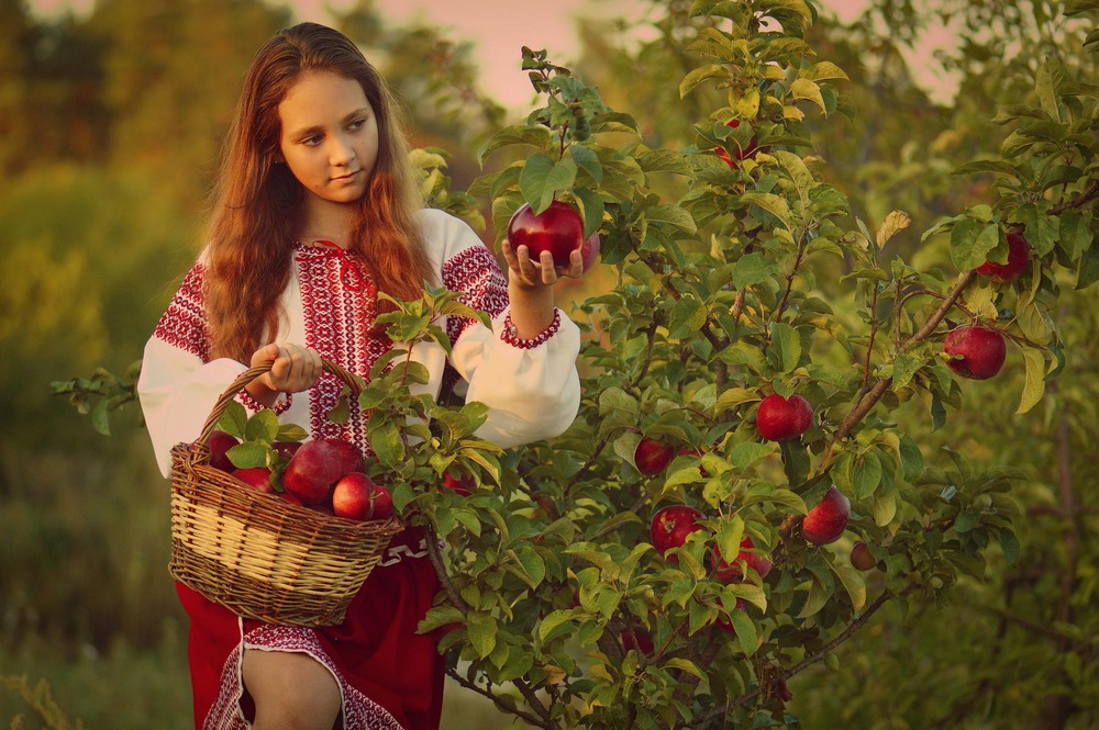 Фотографія урожай / Viktoriya Bilan / photographers.ua