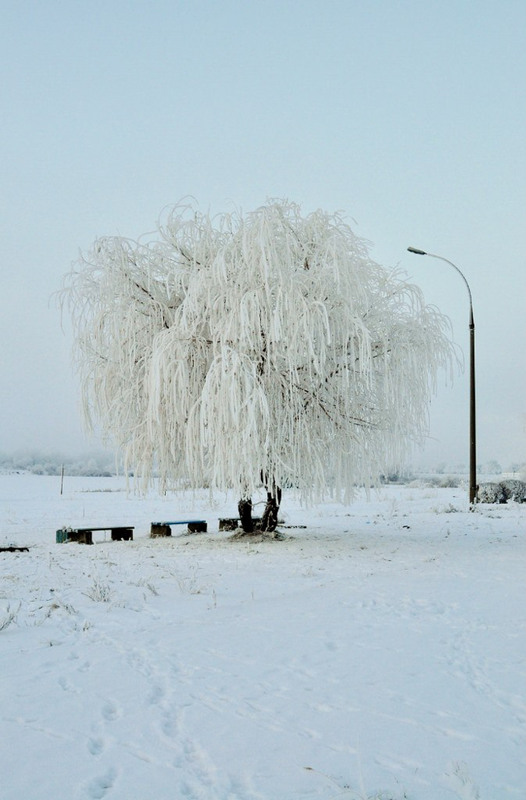 Фотографія Пейзаж / Наташа Славецька / photographers.ua