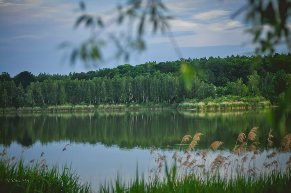 Фотографія Пейзаж / Наташа Славецька / photographers.ua