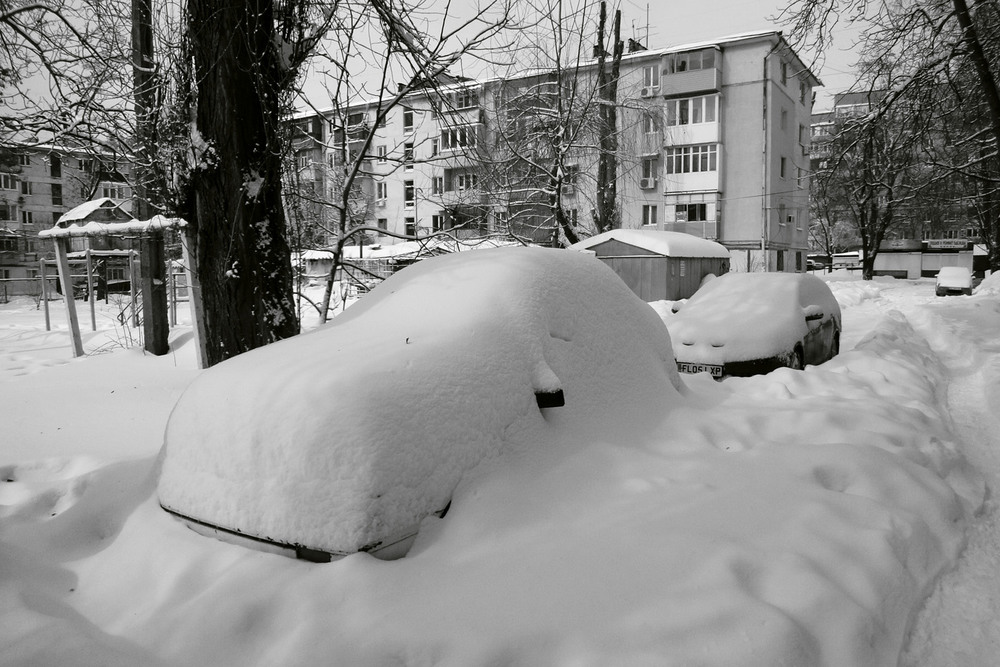 Фотографія В снежных чехлах. / Дмитрий Рось / photographers.ua