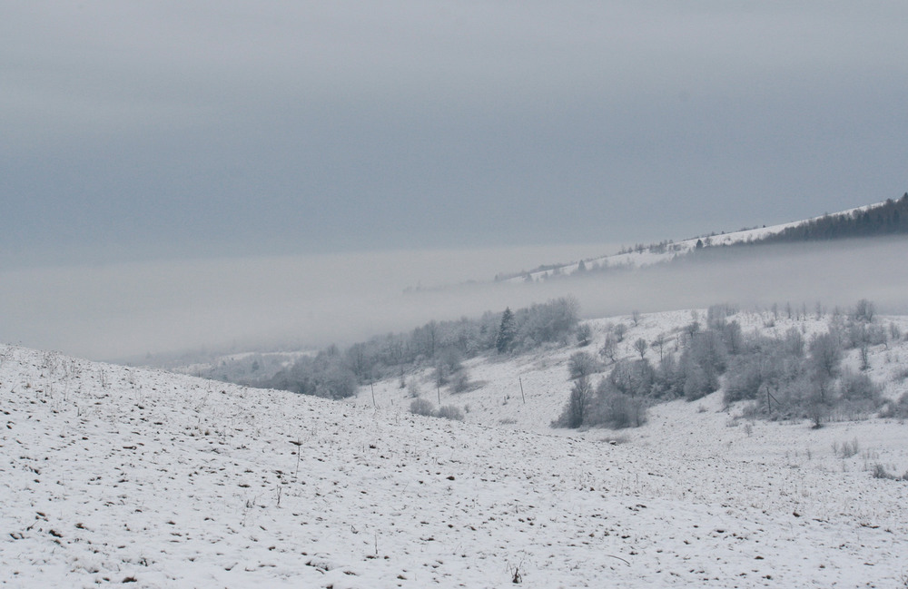 Фотографія Зимний туман. / Дмитрий Рось / photographers.ua