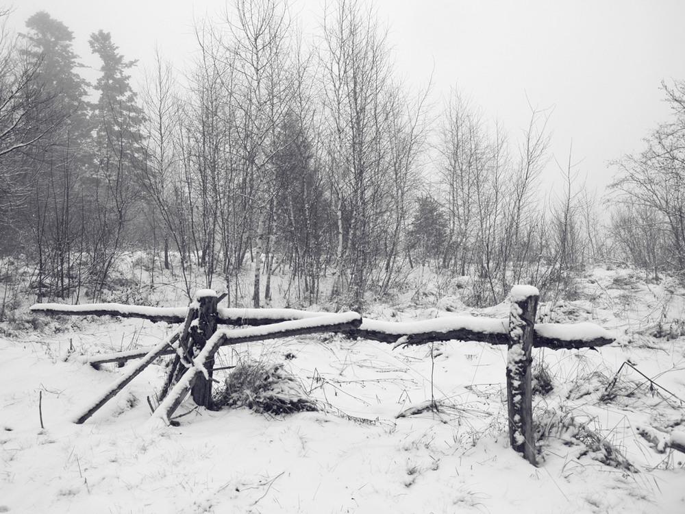 Фотографія Зима на перевале. / Дмитрий Рось / photographers.ua