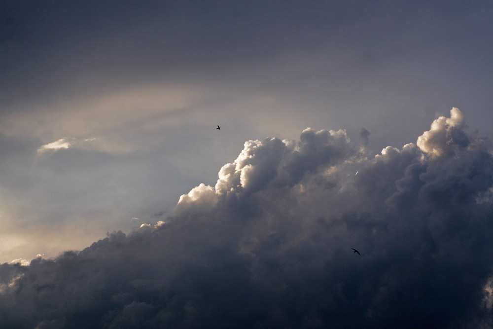 Фотографія Вечернее небо. / Дмитрий Рось / photographers.ua