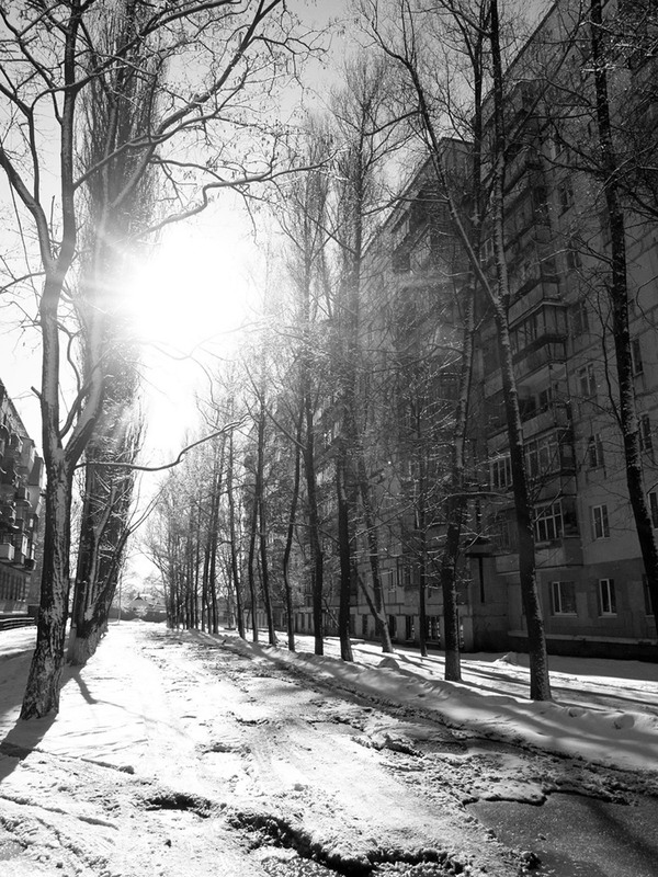 Фотографія Солнечный зимний день. / Дмитрий Рось / photographers.ua