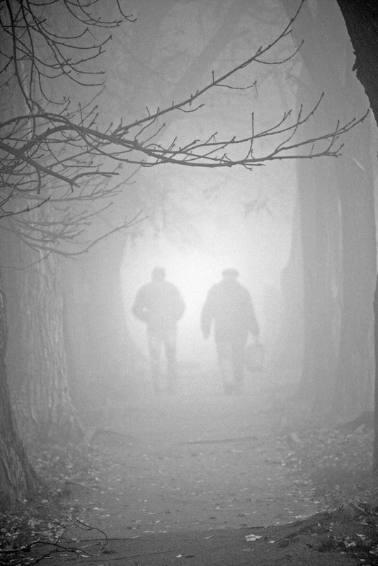 Фотографія Двое в тумане. / Дмитрий Рось / photographers.ua