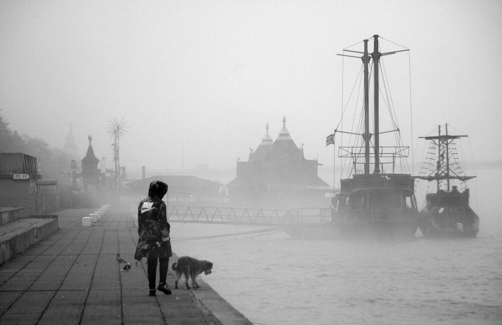 Фотографія Прогулки в тумане. / Дмитрий Рось / photographers.ua