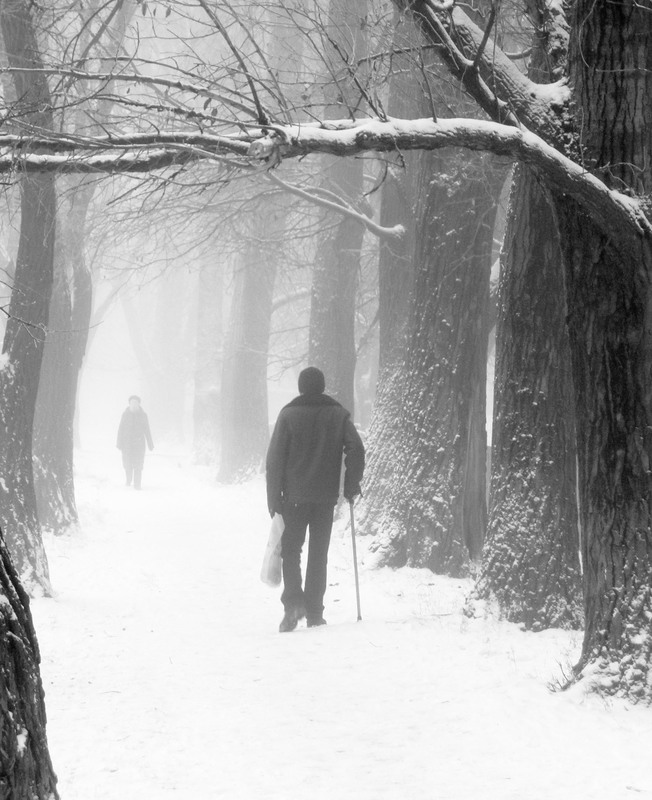 Фотографія Зимний кадр. / Дмитрий Рось / photographers.ua