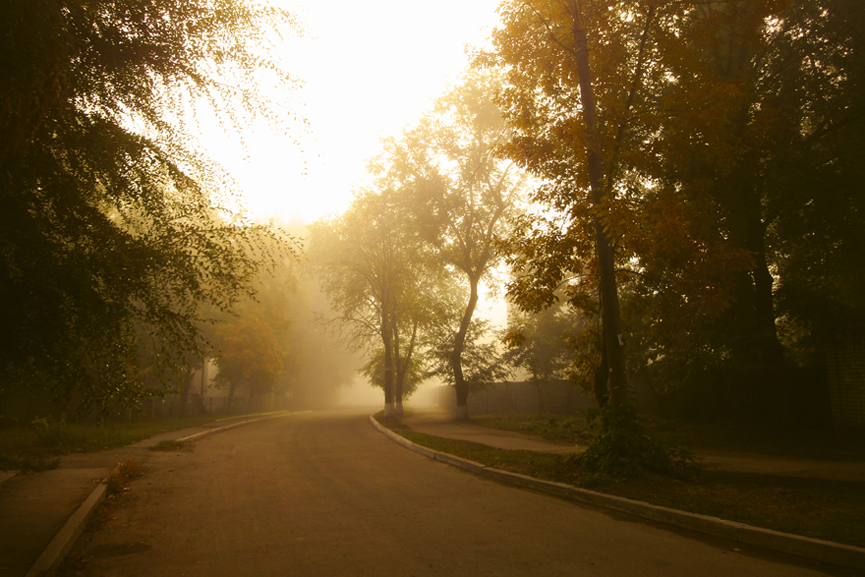 Фотографія Осенний туман на улице спального района. / Дмитрий Рось / photographers.ua