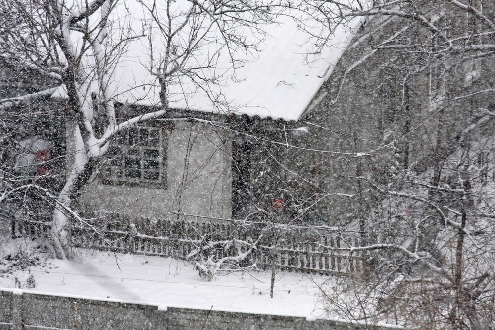 Фотографія Сегодня пришла настоящая зима. / Дмитрий Рось / photographers.ua