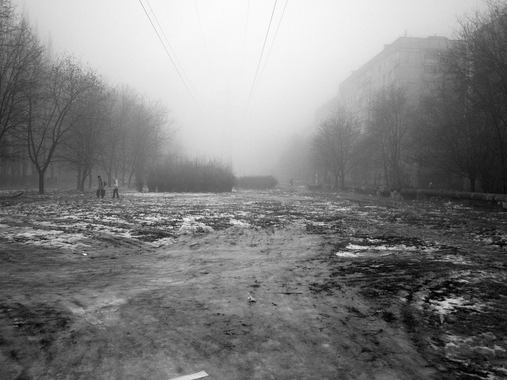 Фотографія В сырую зиму. / Дмитрий Рось / photographers.ua