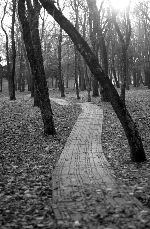 Фотографія Осень в старом парке. / Дмитрий Рось / photographers.ua