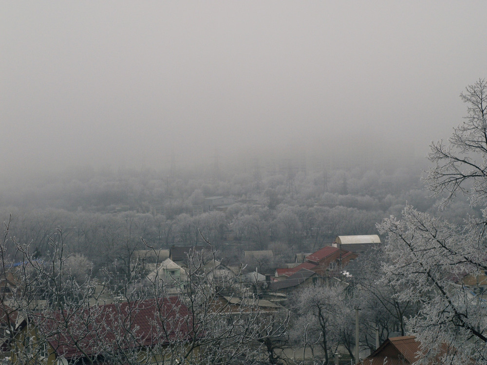 Фотографія Мороз и туман. / Дмитрий Рось / photographers.ua