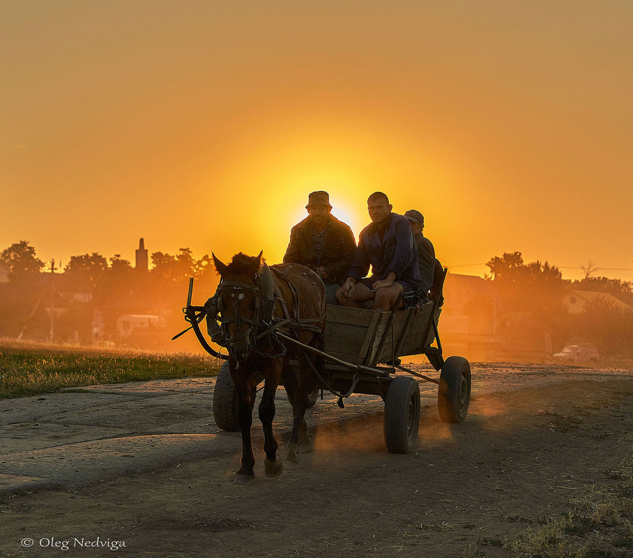 Фотографія Сельский стрит / Oleg Nedviga / photographers.ua