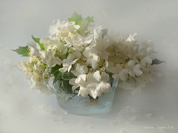 Фотографія І♥ flowers / Гнипа Людмила / photographers.ua