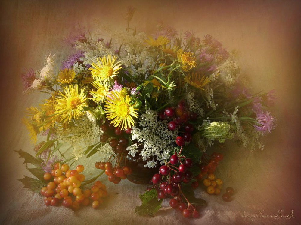 Фотографія Flowers / Гнипа Людмила / photographers.ua