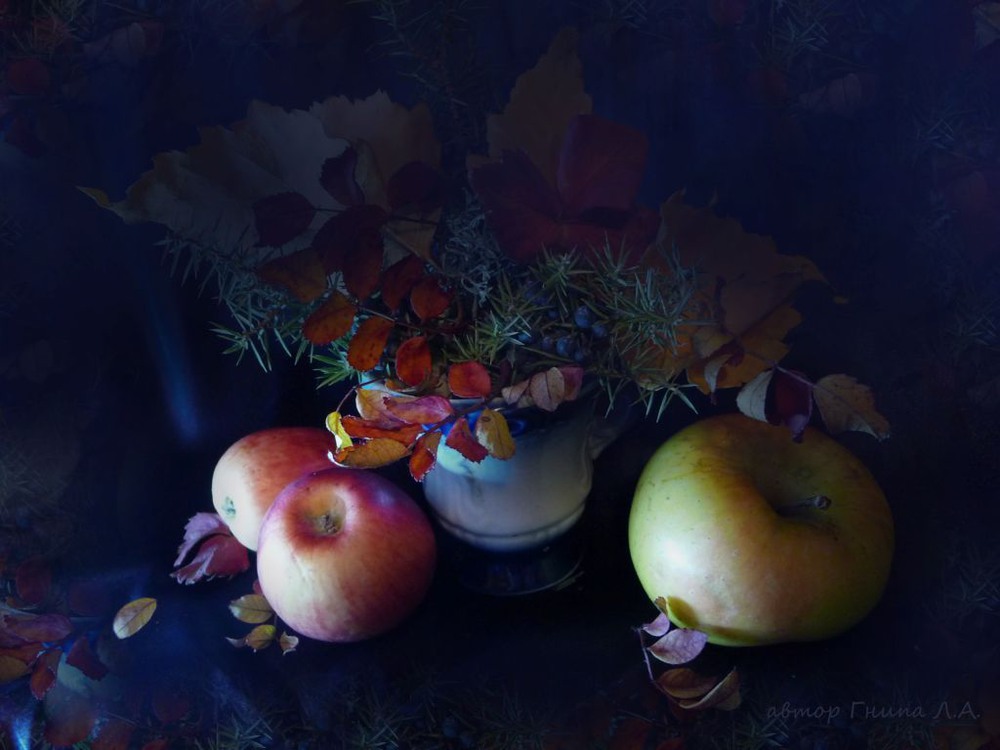 Фотографія Зимові яблука / Гнипа Людмила / photographers.ua