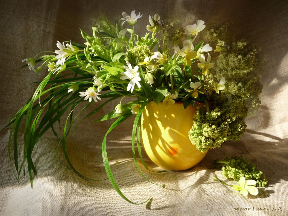 Фотографія Радію...що весна!!! / Гнипа Людмила / photographers.ua