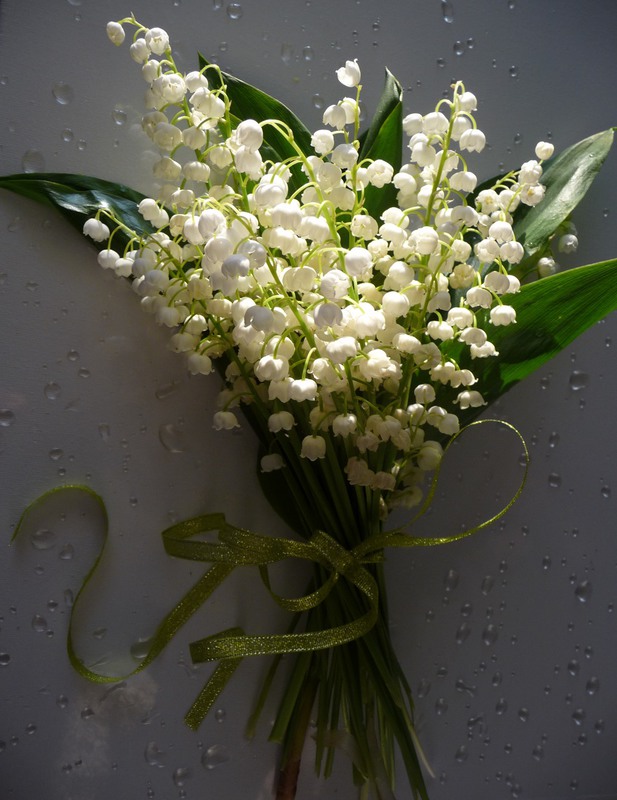Фотографія "Подарунок весни" із серії "Радію...що весна!!!" / Гнипа Людмила / photographers.ua