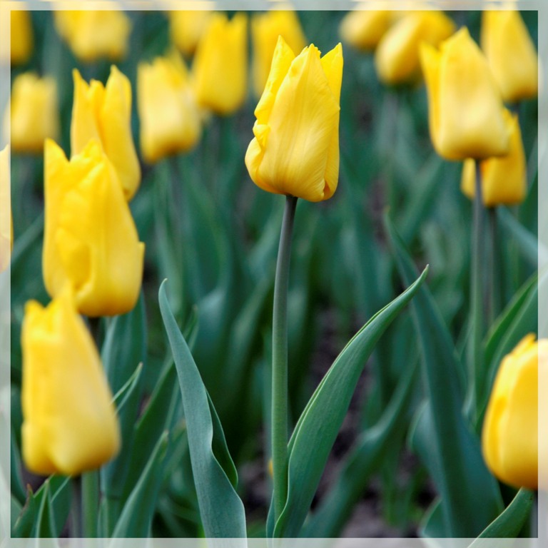 Фотографія Разное / Rolstar Studio / photographers.ua