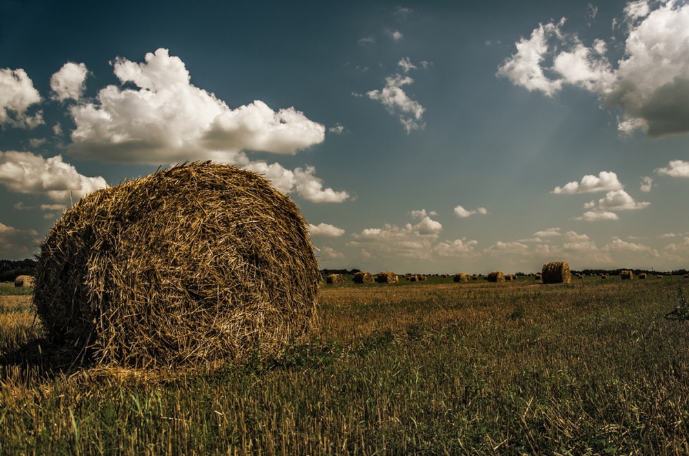 Фотографія Тюк / Роман Петрович / photographers.ua