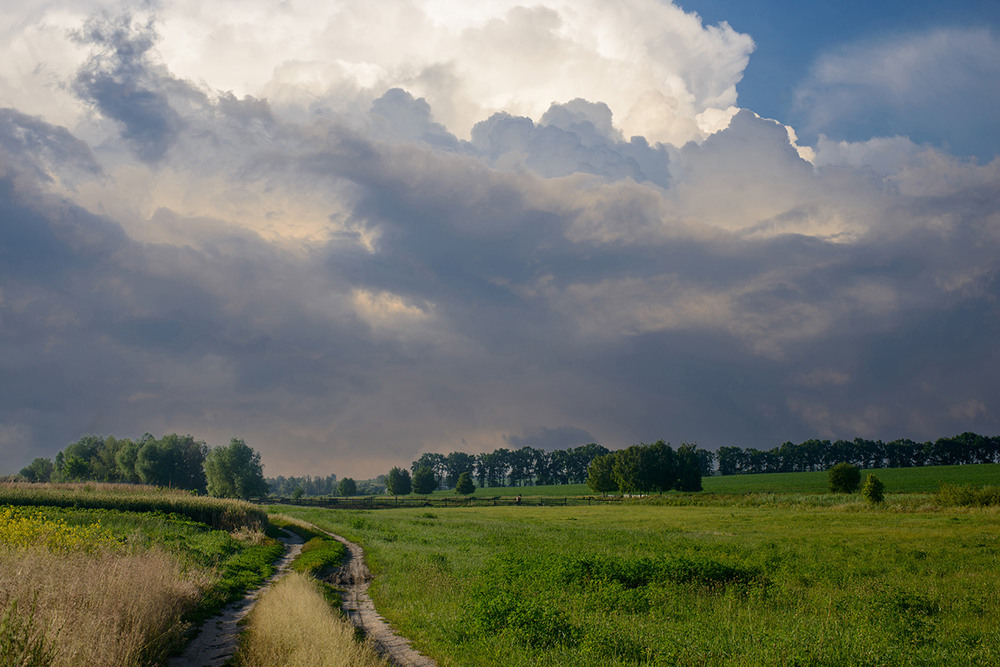 Фотографія Пейзаж / Обрій / photographers.ua