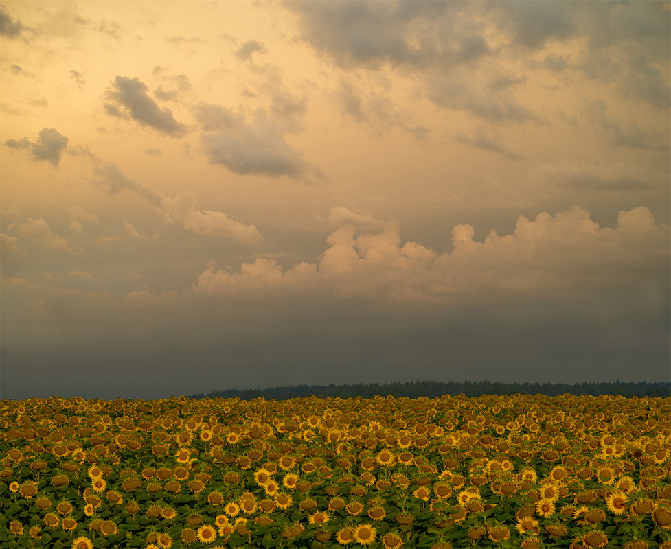 Фотографія Пейзаж / Обрій / photographers.ua