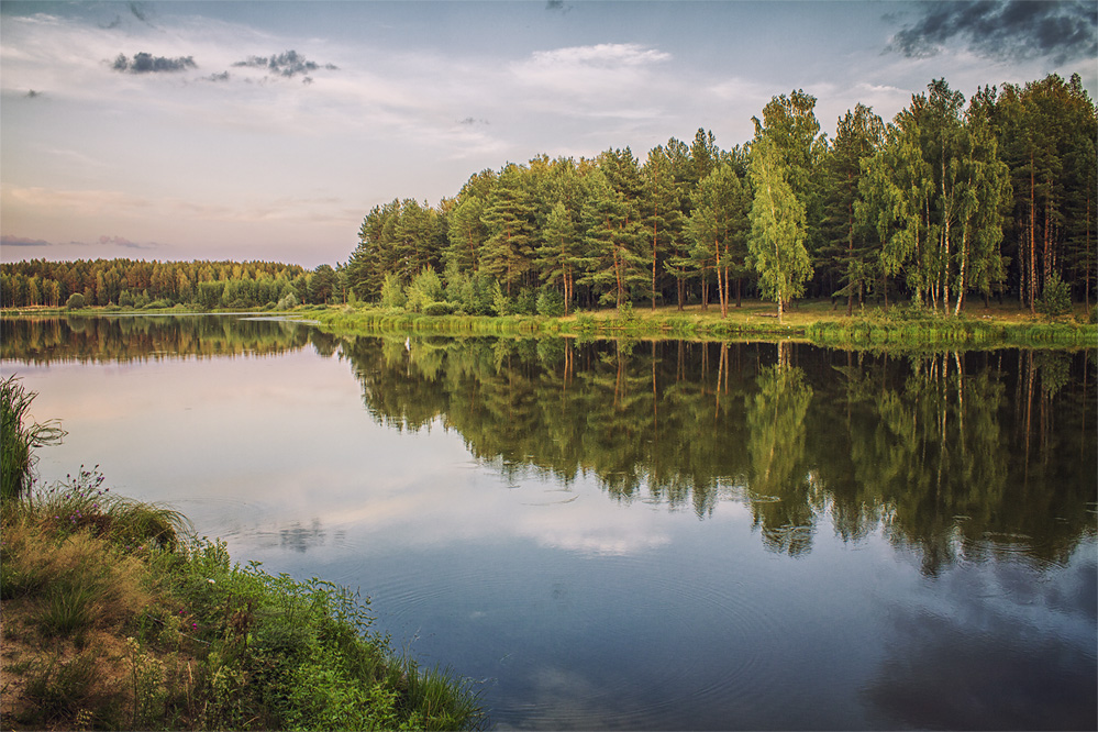 Фотографія На закате / Дмитрий Сдобин / photographers.ua