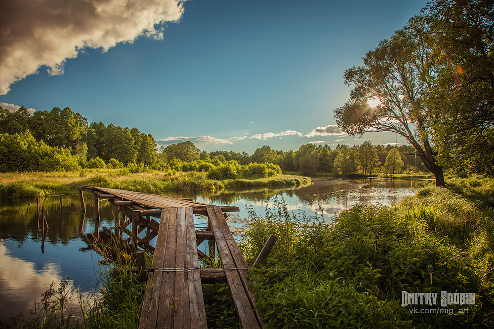 Фотографія На закате / Дмитрий Сдобин / photographers.ua