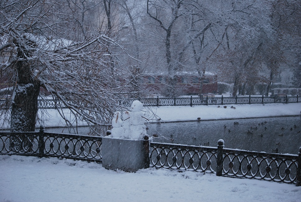 Фотографія Снежный парк / Oxana Shamray / photographers.ua