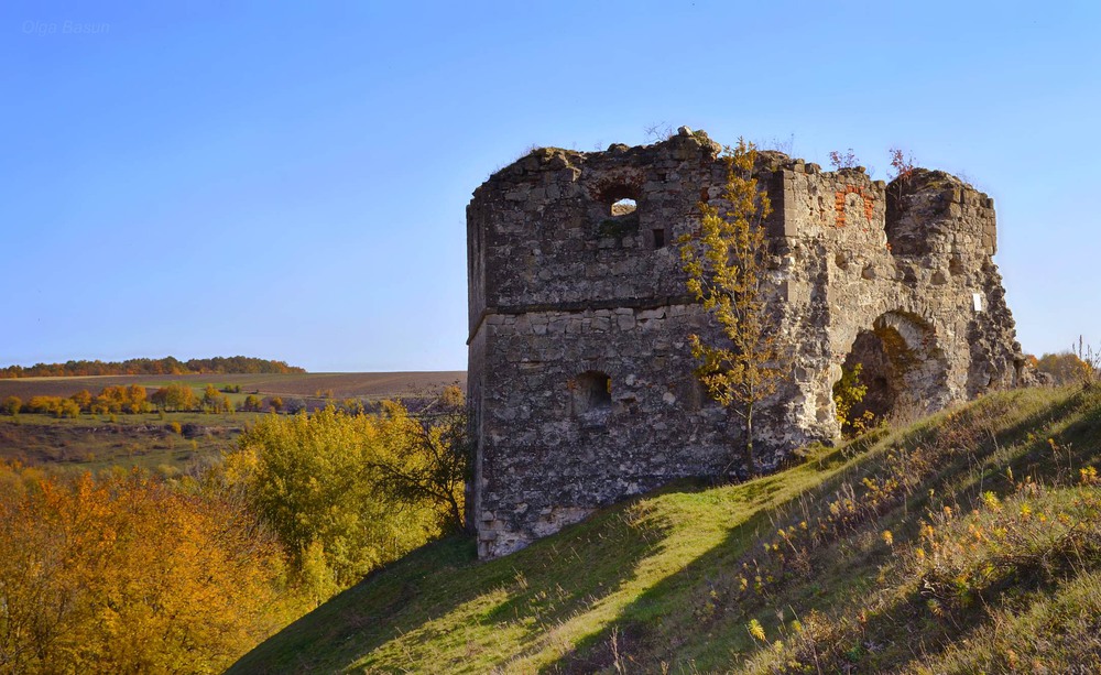 Фотографія Залишки зруйнованого замку / Olga Basun / photographers.ua