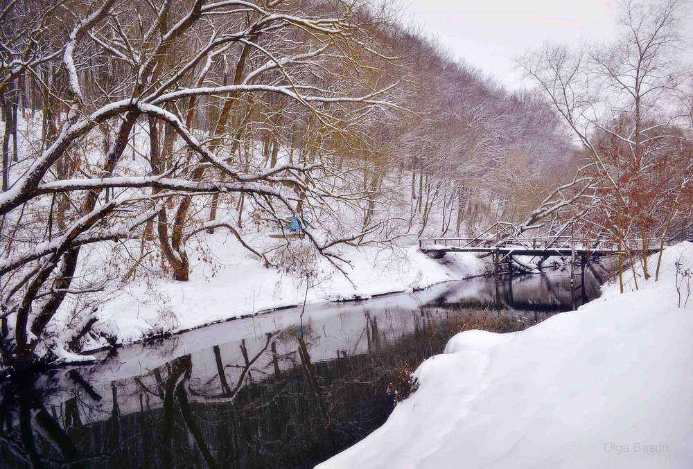 Фотографія Зимового дня на річці / Olga Basun / photographers.ua