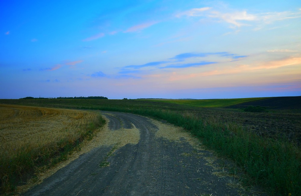 Фотографія Польовими дорогами / Olga Basun / photographers.ua