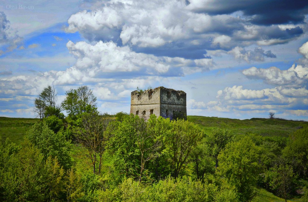 Фотографія Руїни замку / Olga Basun / photographers.ua