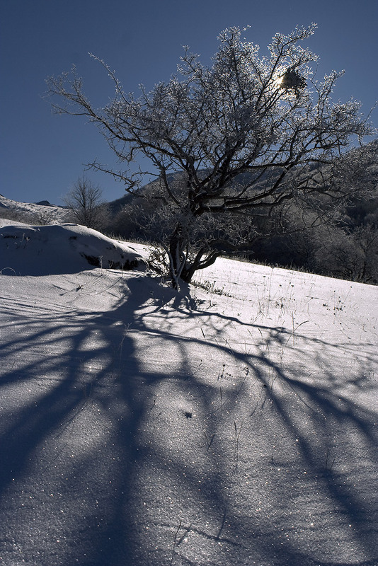 Фотографія «Зимняя история» / саня джантимиров / photographers.ua
