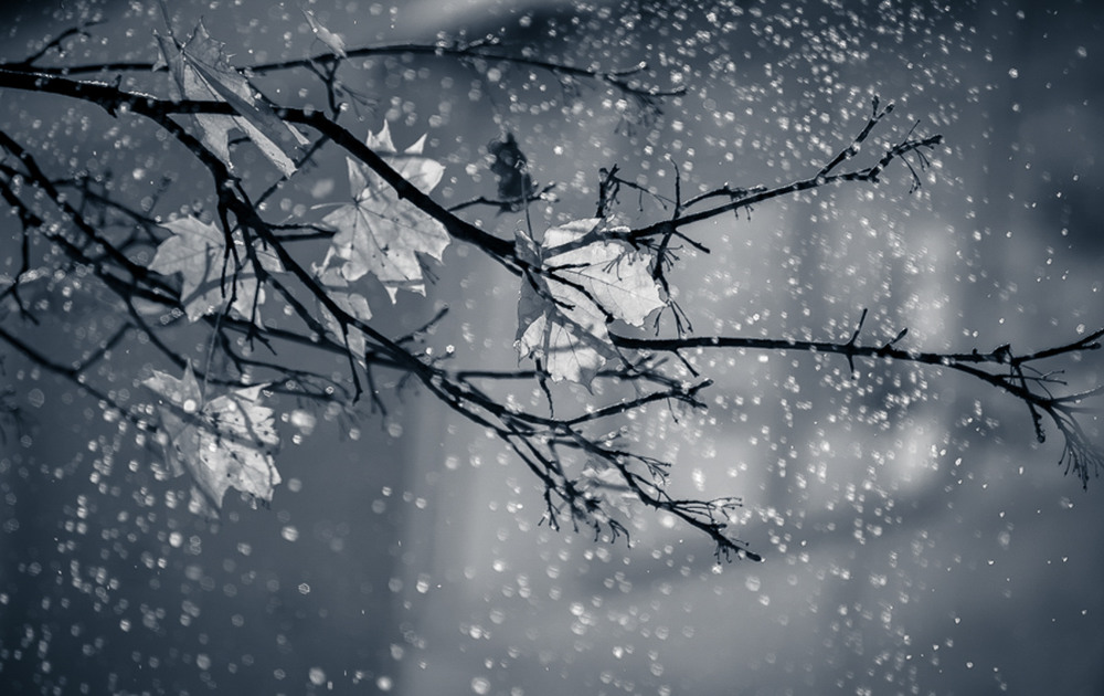 Фотографія Так начиналась зима... / Оксана Григоренко / photographers.ua