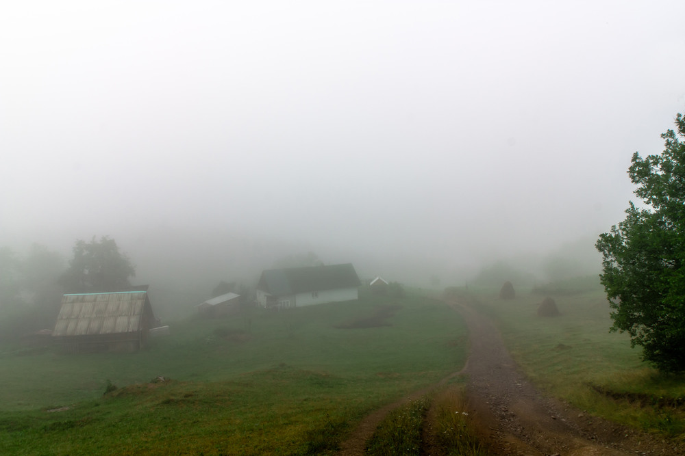 Фотографія Туман над Квасами / Taras Parashchuk / photographers.ua