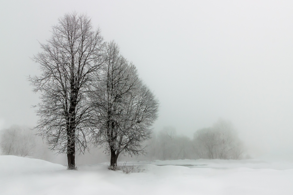 Фотографія Іній і туман / Taras Parashchuk / photographers.ua