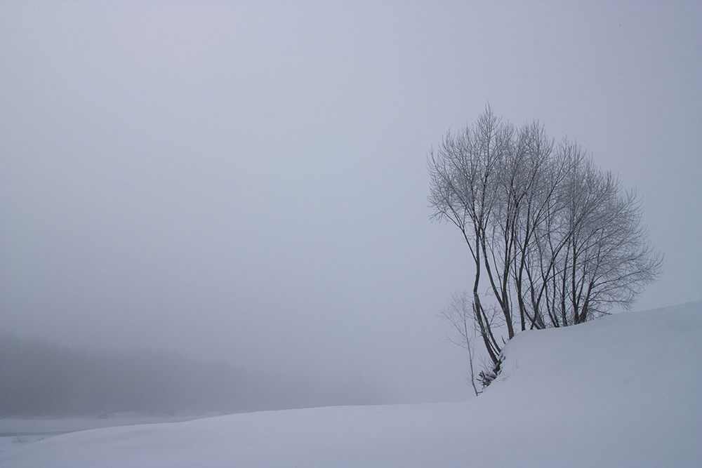 Фотографія Loneliness and sadness / Taras Parashchuk / photographers.ua