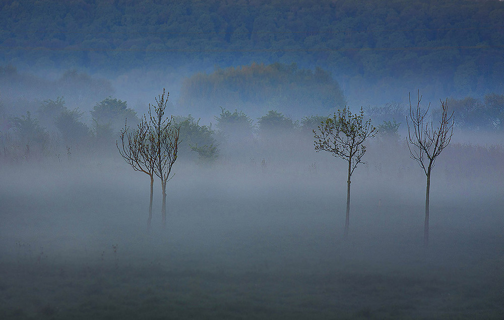 Фотографія impressionistic fog / Adriana Dovha / photographers.ua