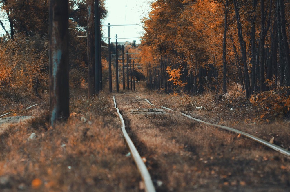 Фотографія *** / Александр / photographers.ua