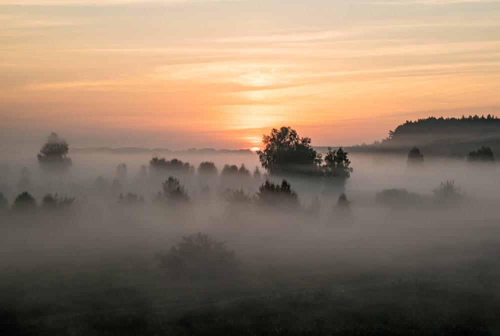 Фотографія "Миколини тумани" / Юрий Литвинов / photographers.ua