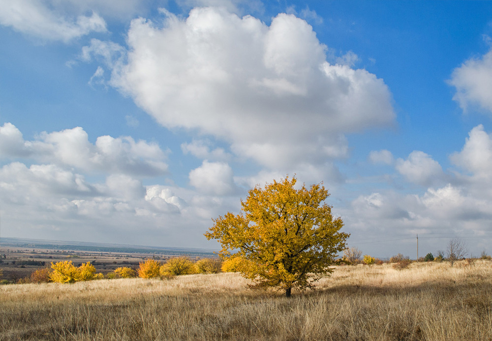 Фотографія Пейзаж / Юрий Литвинов / photographers.ua