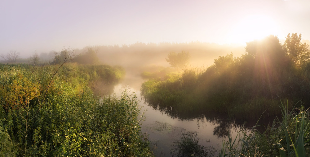 Фотографія Тече туман шовковий у берегах ріки ранковій / svandrii (Андрій) / photographers.ua