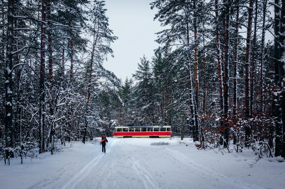 Фотографія У каждого своя "лыжня" / svandrii (Андрій) / photographers.ua