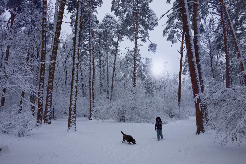 Фотографія Ура, нарешті... зима! / svandrii (Андрій) / photographers.ua