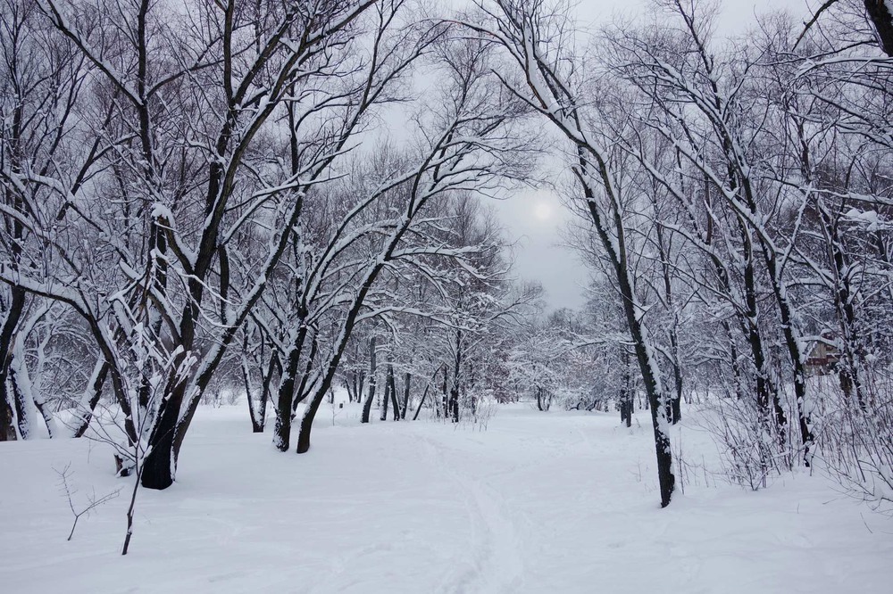 Фотографія колись він кружляв і падав...сніг / svandrii (Андрій) / photographers.ua