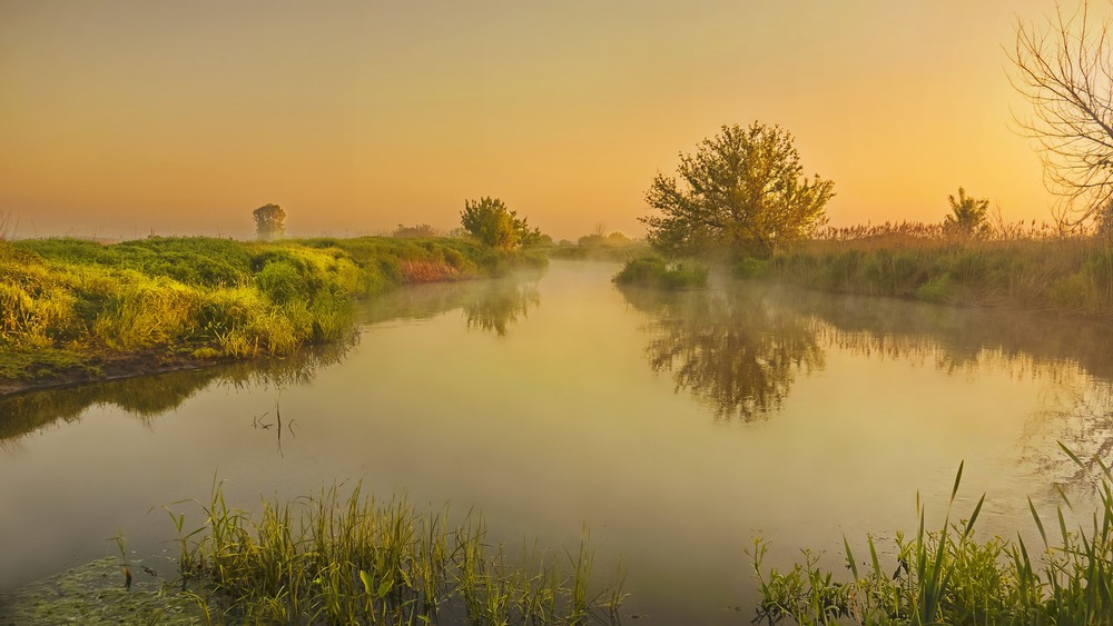Фотографія Молочна ріка... / svandrii (Андрій) / photographers.ua