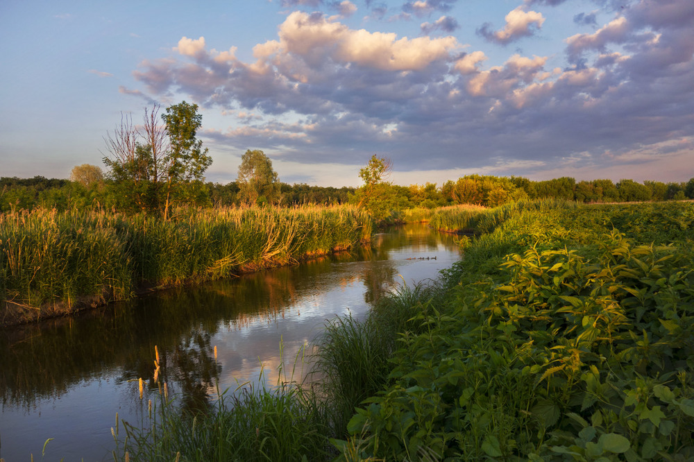 Фотографія Тече ріка, пливе життя / svandrii (Андрій) / photographers.ua