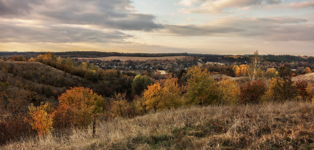 Фотографія ...минула непомітно осінь ... / svandrii (Андрій) / photographers.ua